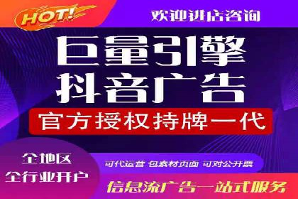 SEM外包公司案例：助力企业拓展海外市场